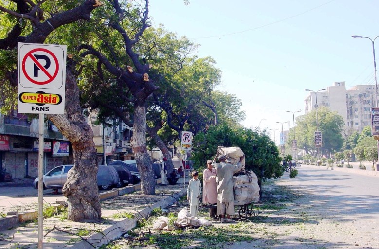 People collecting chopped branches of trees. PHOTO: PPI