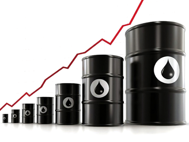 The government passed full impact of increase in prices on all petroleum products except HSD to the consumers.