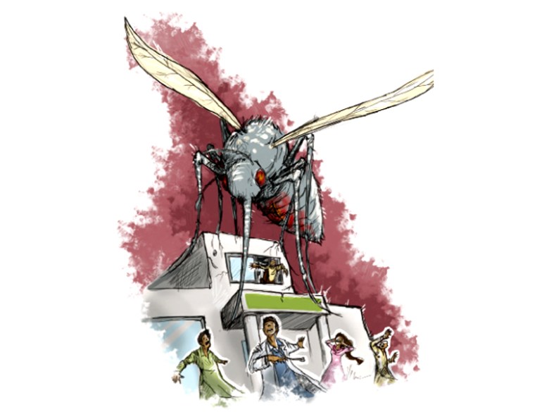 A Health Department spokesman said the number of dengue patients in the province this year had risen to 305. PHOTO: FILE