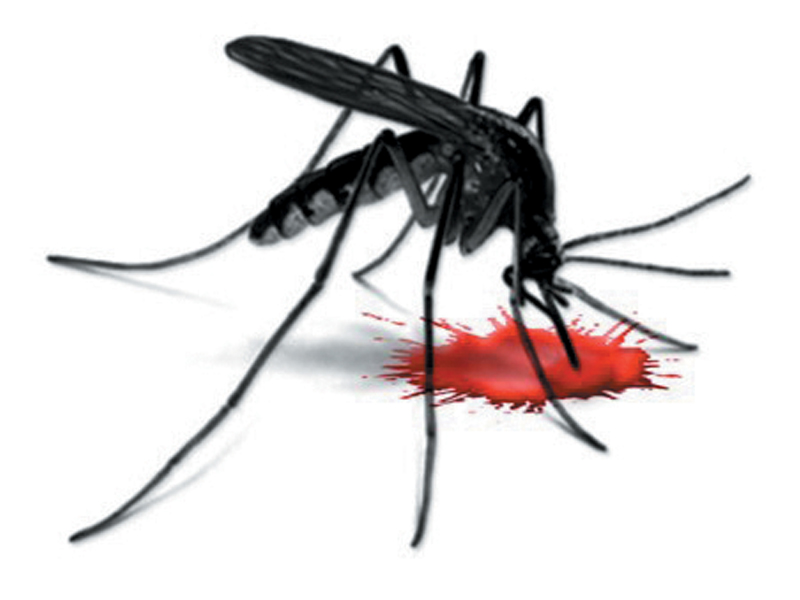 24 notices issued against violators of health rules. PHOTO: FILE