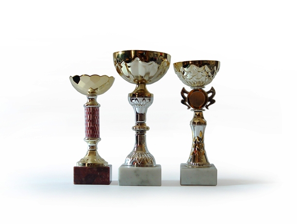 File photo of awards. PHOTO: FILE