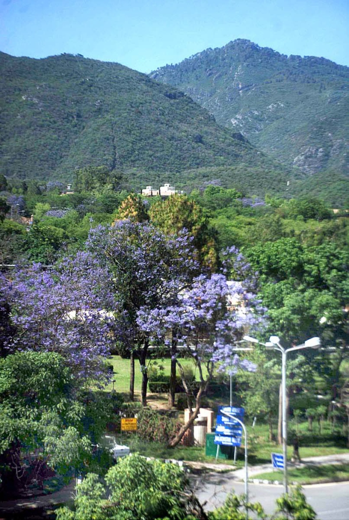 Over 100 students from different departments of NUST participated in a walk to collect garbage from Margalla Hills trail three. PHOTO: APP/FILE