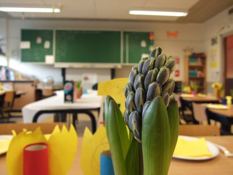 Teachers’ profiles affect students’ outcomes. PHOTO: FILE