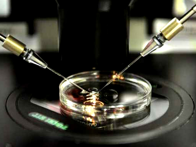 In Vitro Fertilisation: Don’t choose a boy over a girl, choose a baby!