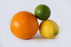 Pakistan, China scientists to combat citrus diseases