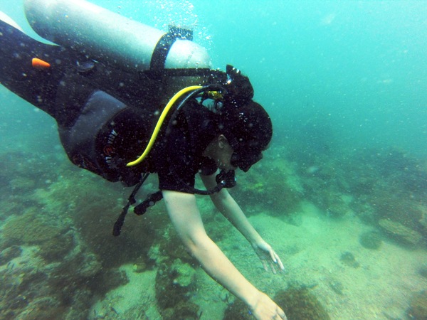 Scuba-diving, an experience of a lifetime