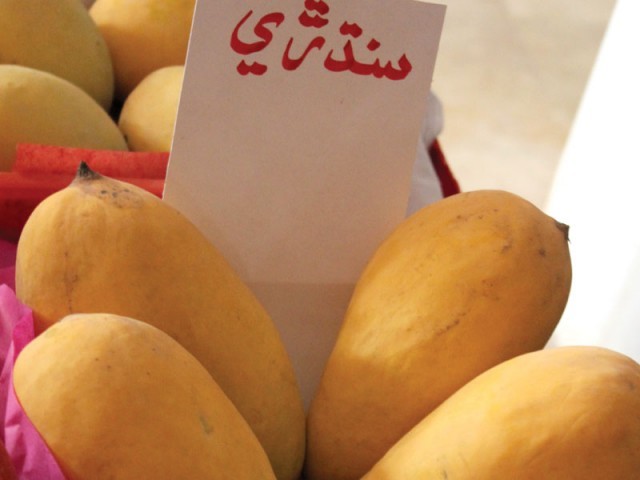 My love affair with Sindhri mangoes