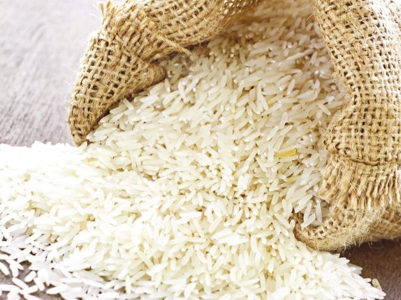 Rice exports experience miniscule increase