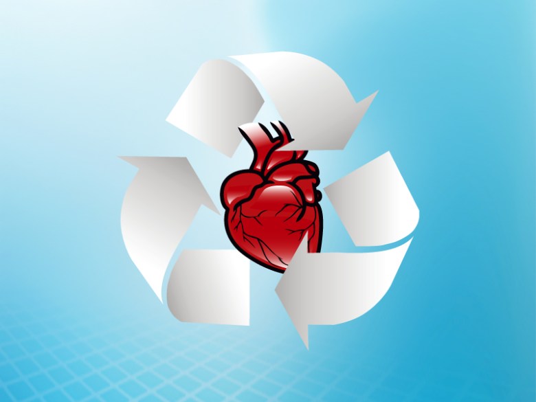 Organ donation: The Two-Fold problem