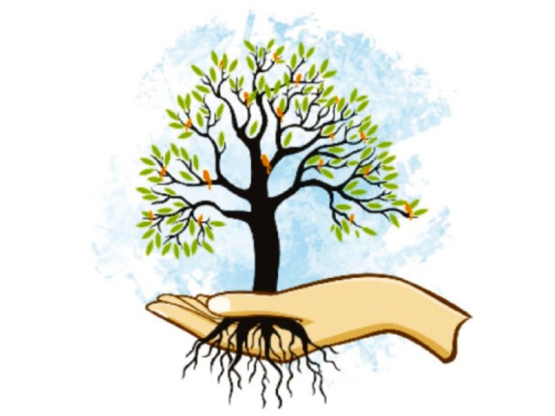 The green drive: Planted, not nurtured