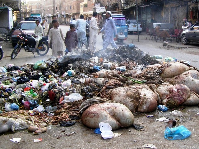 Eidul Azha and Pakistan’s hygiene issue