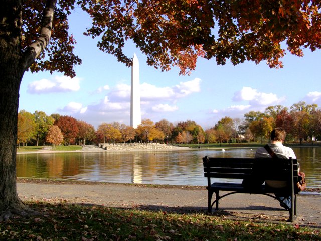 The bench