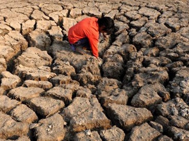 Tharparkar drought claims 7 more lives, year’s death toll surpasses 500