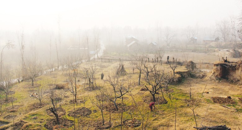 Kashmir: A cultural crossroad