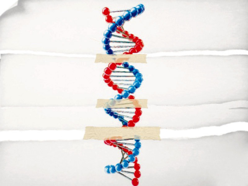 Sindh sends all DNA tests to Islamabad as govt claims there is no facility in province.