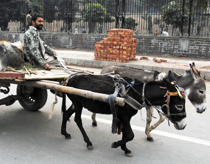File photo of a man on a donkey cart in Pakistan. PHOTO: ONLINE