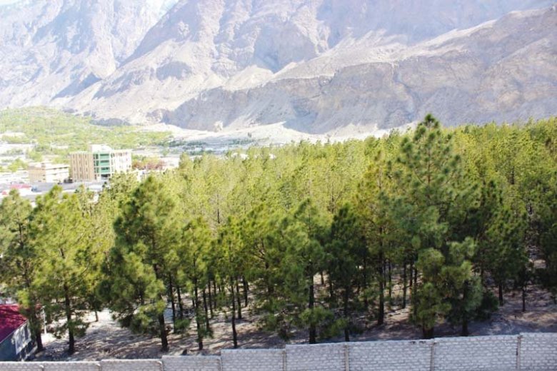 Towards producing green hydrogen