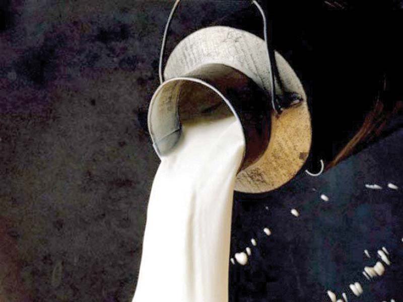 Budget 2015-16: Dairy industry losing sleep over proposals