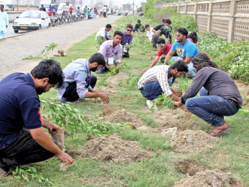 University students do their part to make Karachi a cleaner, greener place to live in by spreading awareness about the environment. They have asked the Sindh government to donate plants for them to plant around the city. PHOTO: AYSHA SALEEM/EXPRESS