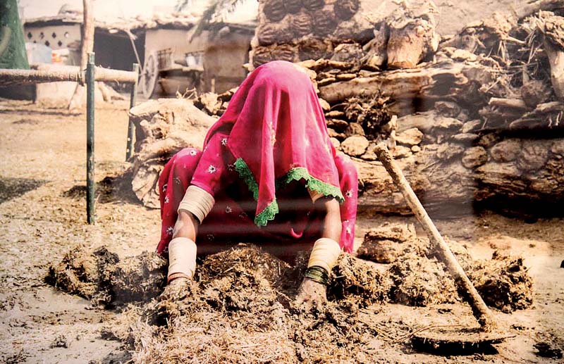 The photographs showed lives of the people in Sindh and how the inter-sectoral approach had been effective in improving their lives. PHOTO: INP