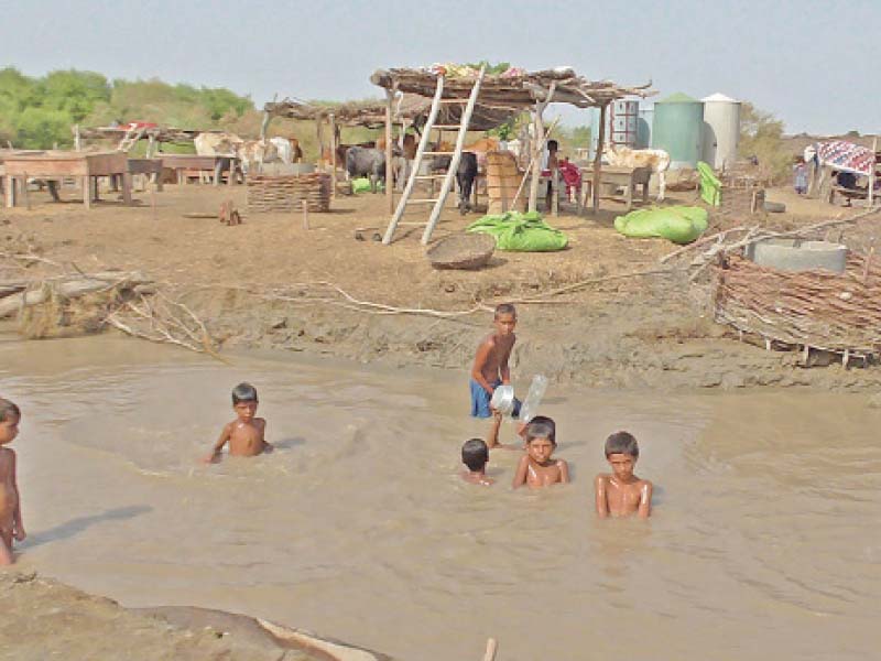 Nearly all the houses of the Abdul Ghani Chachar village have been razed to the ground in the recent floods. A mosque built by an NGO is the only structure saved from the mighty flood’s wrath. Meanwhile, the residents of the village, who have enough grain in stock for sustenance, ask only for a school for their children. PHOTOS: EXPRESS