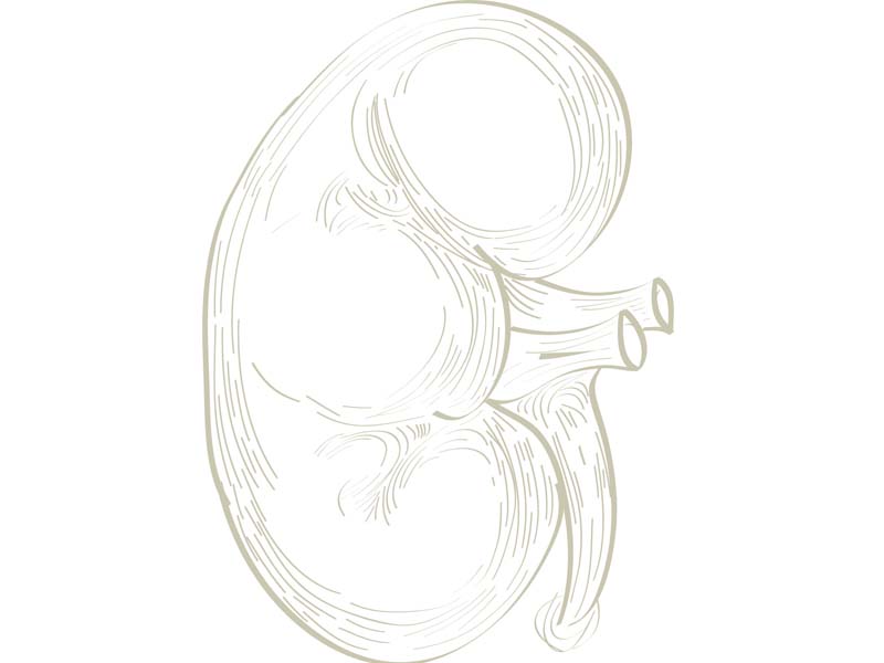 Are you at risk for kidney stones? Find out how to steer clear of this common ailment. DESIGN BY HIRA FAREED