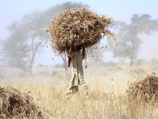 Minister urges China to enhance cooperation in agriculture