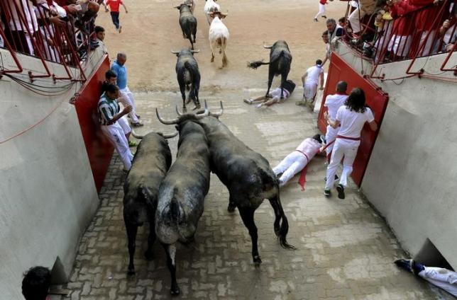 Runners fall next to Miura fighting bulls at the entrance to the bullring during the last day of the running of the bulls of the San Fermin festival in Pamplona, northern Spain, July 14, 2015. PHOTO: REUTERS
