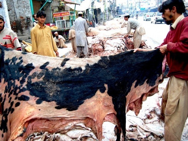 Banned outfits barred from collecting animal hides