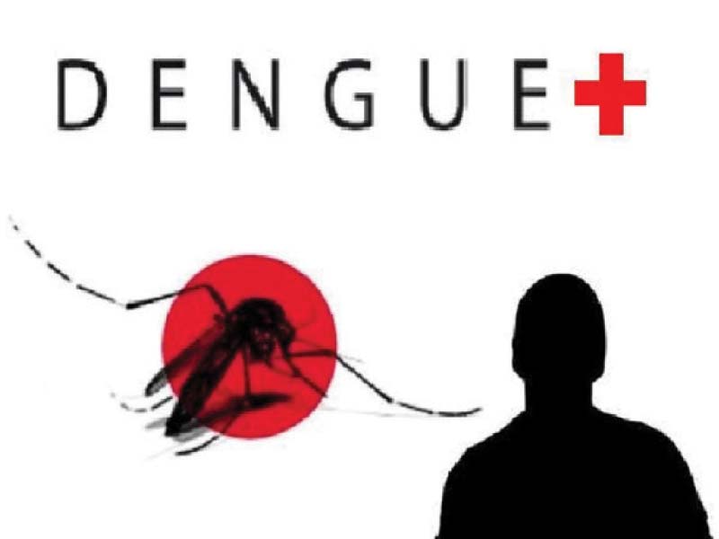 More than 300 volunteers carry out anti-dengue campaign.