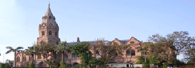 Only one of the  four faculties at the university  has a dean. PHOTO: gcu.edu.pk