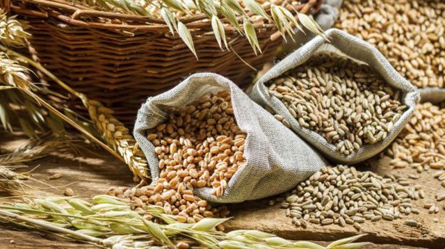 Foods rich in soluble fibre include oatmeal, nuts, beans, apples, and blueberries. PHOTO: NDTV