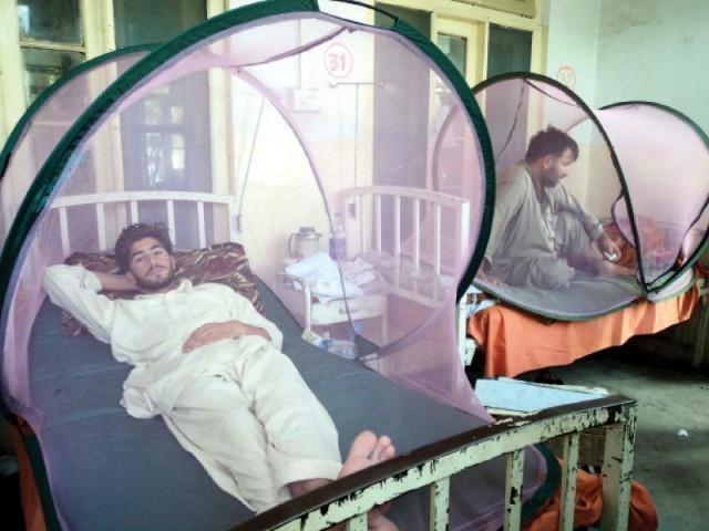 Health dept realises need for entomologists, biologists to tackle virus effectively. PHOTO: FAZAL KHALIQ