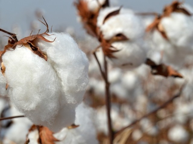 Textile ministry thinks otherwise, says dept must remain within it. PHOTO: FILE