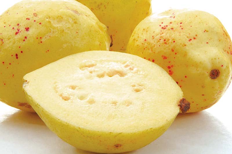 Season’s delight: 8 Incredible benefits of the humble ‘amrood’