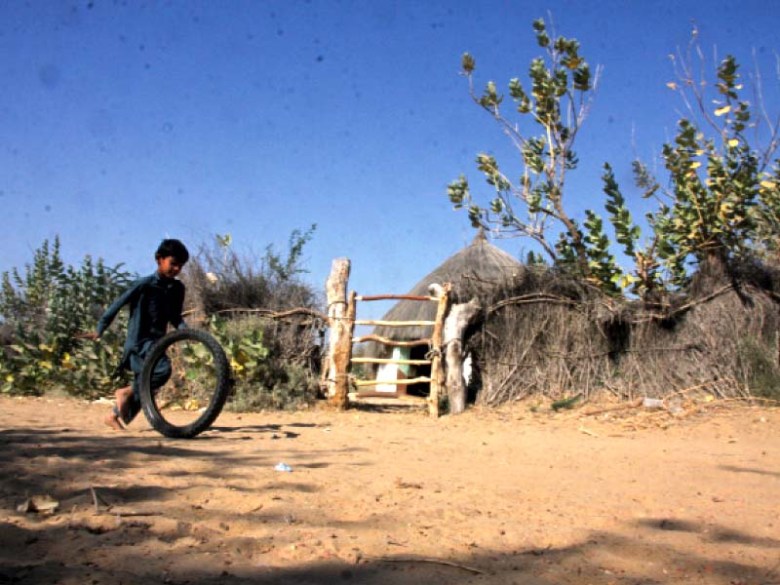 ‘Stunting down to 50% in Tharparkar’