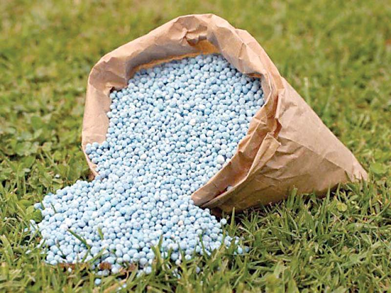 The federal government, in the 2015-16 budget, had set aside Rs20 billion for DAP subsidy with 50% share from the four provinces as per their consumption needs. PHOTO: FILE