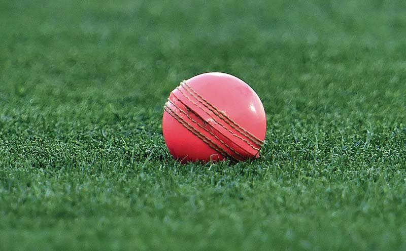 The pink ball has become a symbol for day-night Test cricket around the world. PHOTO: AFP