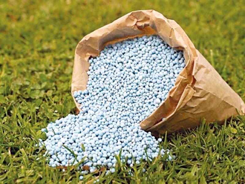 Importers said the subsidy amount was higher than their profit margins and they had little motivation to continue with the concession. PHOTO: FILE
