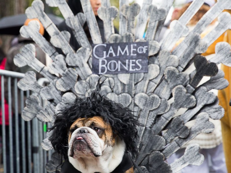 PHOTO: LILI SAMS/MASHABLE