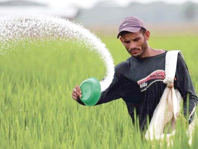 Overall, the government had announced a urea subsidy of Rs390 per bag including cash subsidy of Rs156, GST subsidy of Rs184 and price reduction of Rs50 by urea manufacturers. PHOTO: FILE