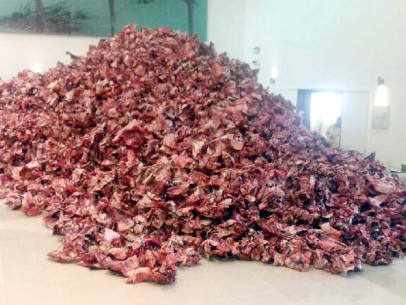 Art pieces on display at PNCA. PHOTO: ARSALAN ALTAF/EXPRESS