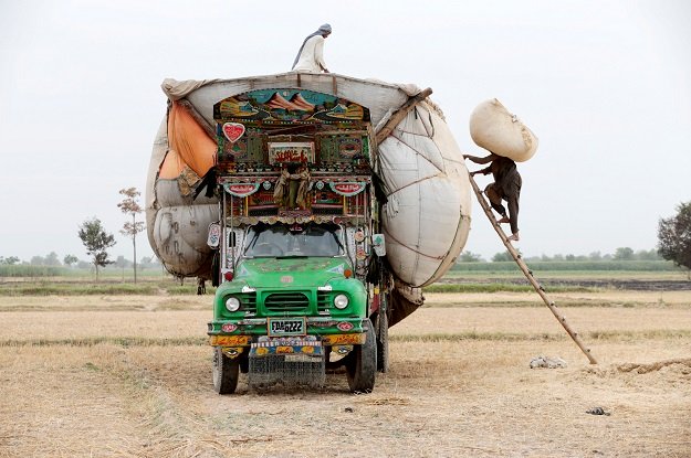 Workers load straw onto a decorated truck outside Faisalabad, Pakistan. PHOTO: REUTERS