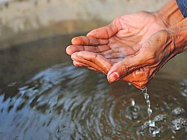 The orders were issued by Punjab Minister for Healthcare and Medical Education and Adviser to Punjab CM on Dengue. PHOTO: FILE