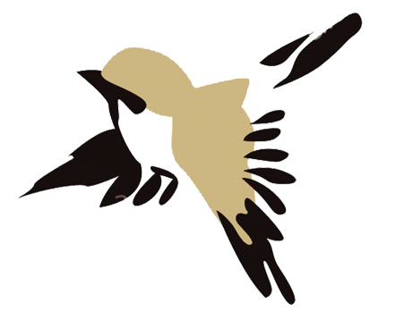 Birds of a feather migrate together: Karachi’s native sparrows have flown the coop
