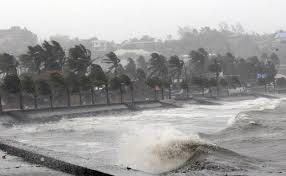 Homes flattened as typhoon roars through Philippines. PHOTO:REUTERS.