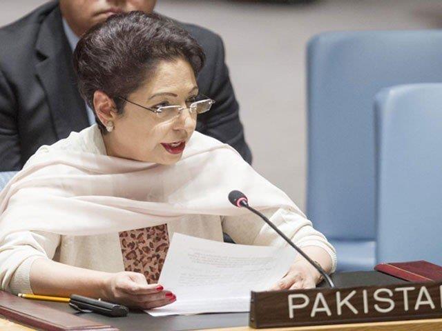 Maleeha Lodhi. PHOTO: FILE