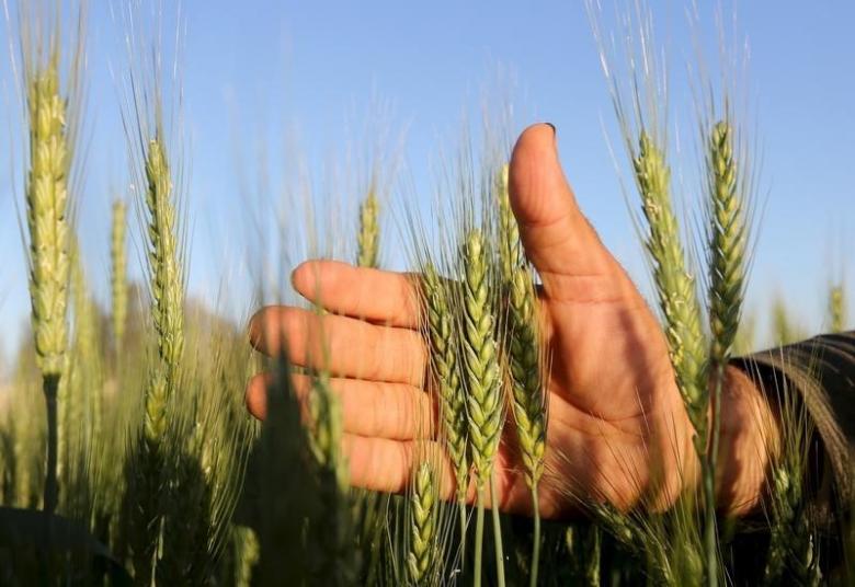 The existing agriculture training institute in Quetta was being revamped at a cost of Rs500 million.

PHOTO: REUTERS