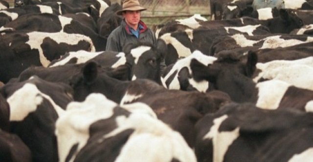 China has lifted a ban on importing British beef after more than 20 years, in a move the UK government hailed as the culmnination of years of work. PHOTO: AFP