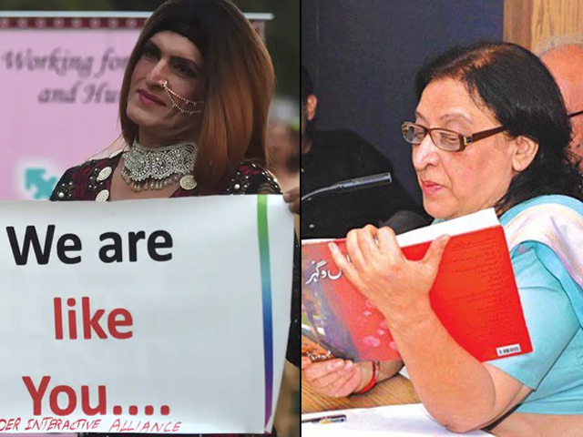 It is an interesting, even provocative reflection on how the roles, rights and responsibilities of the transgender have evolved over the years.